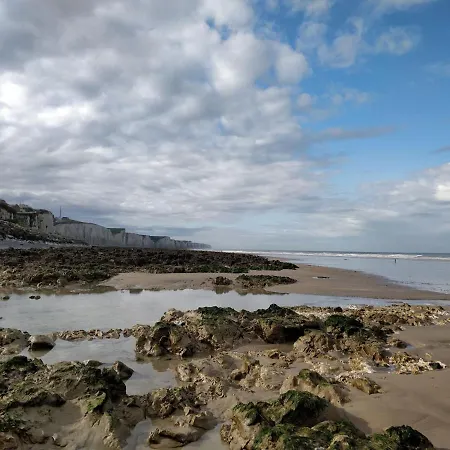 Vues Exotique, Au Pin Bleu Majorelle - 3 Etoiles *