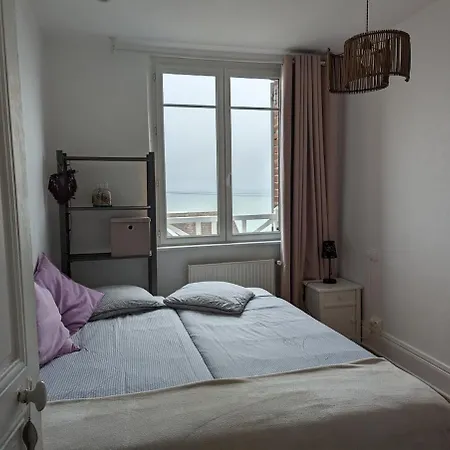 Vues Exotique, Au Pin Bleu Majorelle - 3 Etoiles *