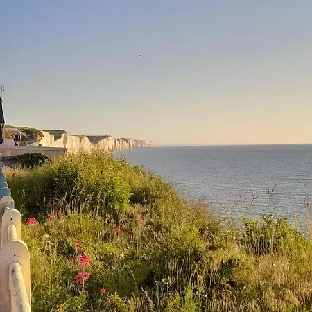 Vues Exotique, Au Pin Bleu Majorelle - 3 Etoiles אולט