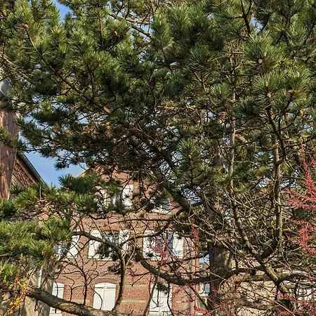 Vues Exotique, Au Pin Bleu Majorelle - 3 Etoiles *